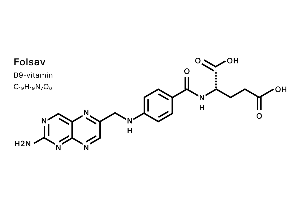 A folsav szerepe a szervezetbe